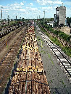 Bild eines Güterzug beim Holz - Transport