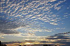 goldener Sonnenuntergang mit blauem Himmel und vielen weißen Schäfchenwolken