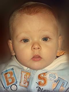 Baby Junge - Portrait