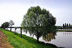 Uferböschung der Loire