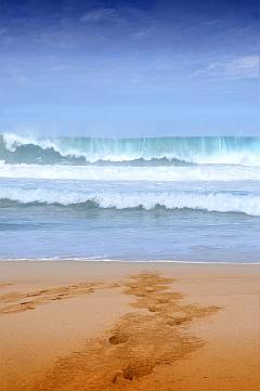 Welle am Strand von Cofete