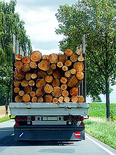 Holz Transporter, LKW von hinten 
