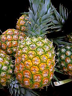 Ananas - saftige Gruppe