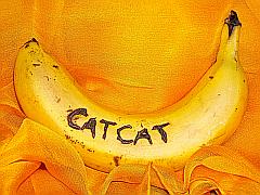 Banane Catcat