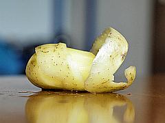 geschälte Kartoffel, goldgelb mit Schalenkringel