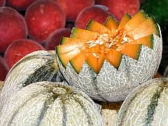 lizenzfreies Foto eine aufgeschnittenen Charenteis Melone mit leuchtend orangenem Fruchtfleisch