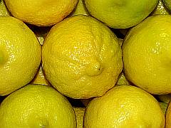 Foto einer Zitrone