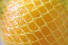 Zitrone im Netz