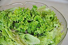 güner Salat: Lollo Bionda
