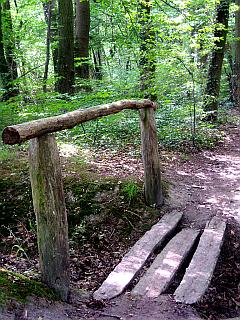 Waldweg mit kleine Holzbrücke