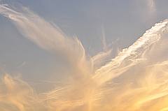 Engelsflügel - weiße Schleierwolken auf hellblauem Himmel