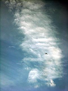 Foto: Himmelwärts - Wolken aufgetürmt gen Himmel