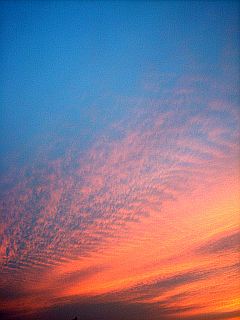 Sonnenuntergang: blauer Himmel mit roten Cirrus Wolken