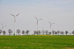 Windpark im Feld