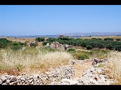 Blick über die Hochebene mit Olivenbäumen bei Aptera auf der Insel Kreta