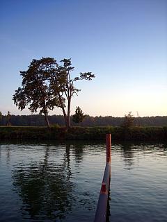 Spiegellung eines Baumes im Kanal