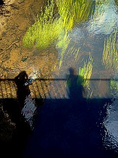 Schattenspiel im Flussbett auf fließendem Wasser mit Wasserpflanzen