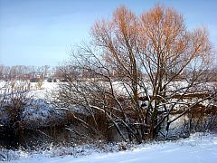 kostenloses Foto: Winter - Flussbett im Schnee