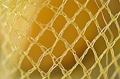 Netzwerk - gelbes Plastiknetz über Zitrone
