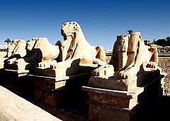 Widderstatuen Karnak-Tempel