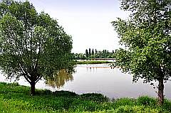grüne Ufer der Loire