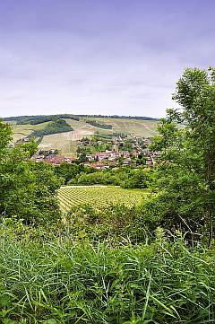Kleines Bergdorf umgeben von Weinbergen