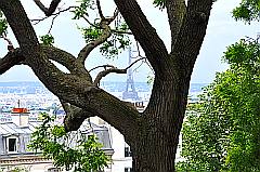 Blick vom Montmartre auf den Eifelturm