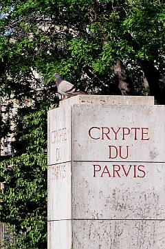 Steintafel der Notre Dame mit Möwe - Crypte du Parvis