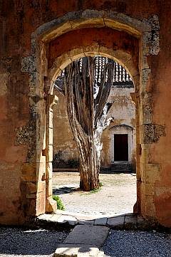 Toter Baum im Kloster