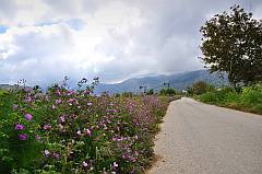 Lassithi Plateau, Kreta