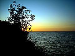 Steilküste am der Mecklenburger Bucht mit einer Baum Silhouette im Sonnenuntergang