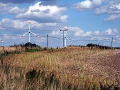 Windkraft-Park südlich von Wismar