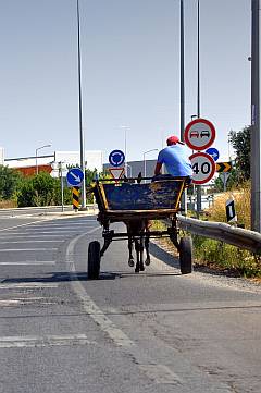 Straßenbild mit Esel