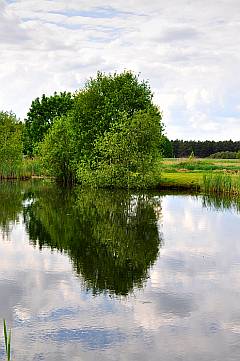 Teich im Tipidorf Bertingen