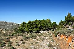Naturschutzgebiet Serrania de Ronda