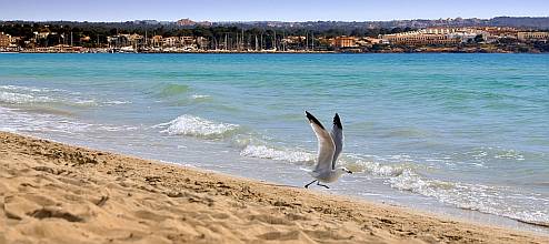 Mallorca: Strand vor S'Arenal