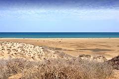Playa Matorral