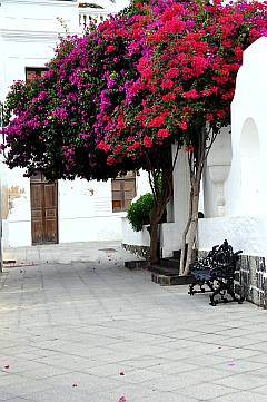 Foto Lanzarote