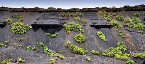 Bodenerosionen im Krater